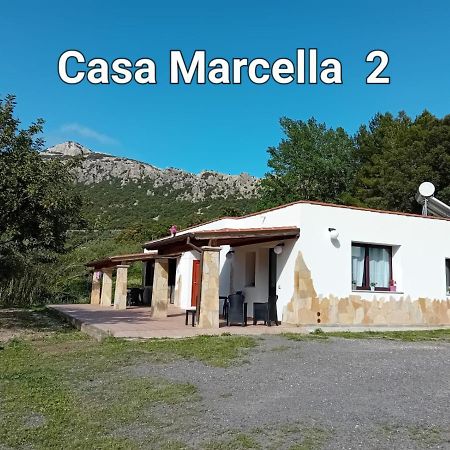 Casa Marcella Apartment ดอร์กาลี ภายนอก รูปภาพ