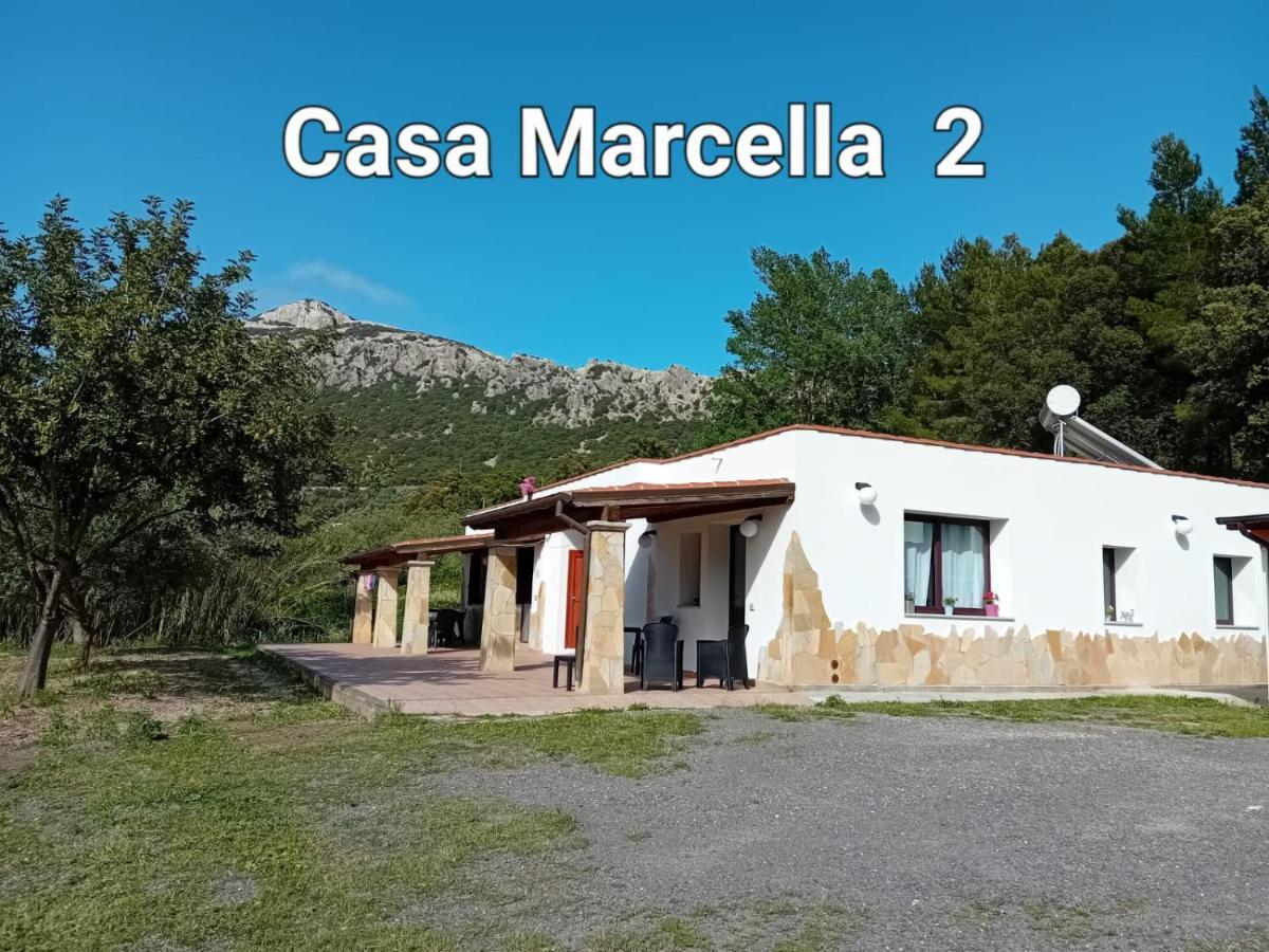 Casa Marcella Apartment ดอร์กาลี ภายนอก รูปภาพ